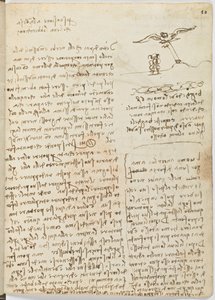 Birds Flight Code, Sheet 16 Recto